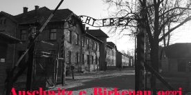 Auschwitz e Birkenau oggi